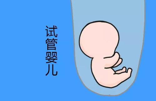 关于景泰生殖